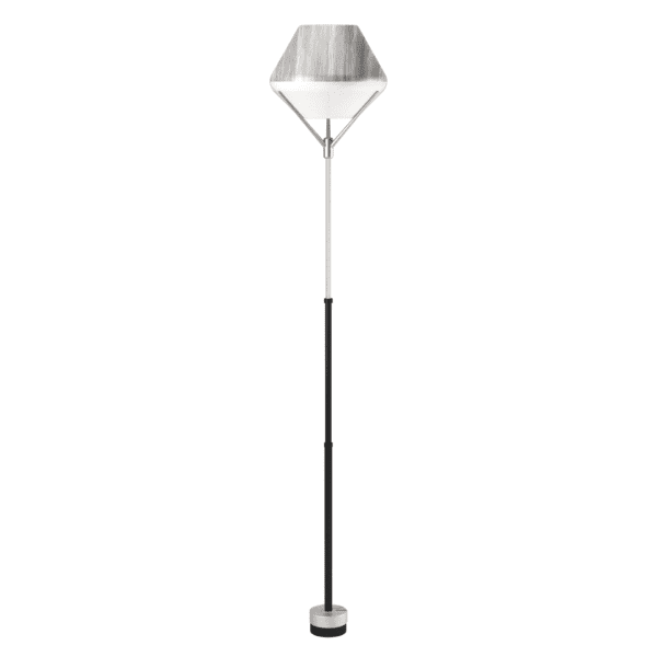 Light Tulip standing grey