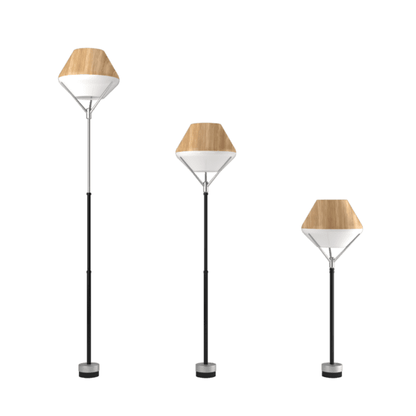 Light Tulip standing wood 2