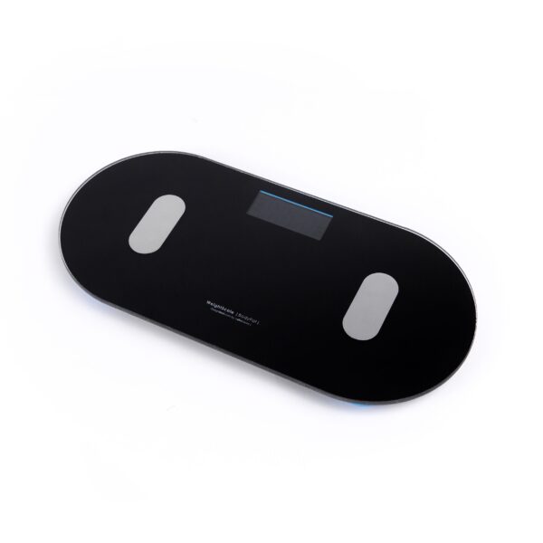 WeightScale 1